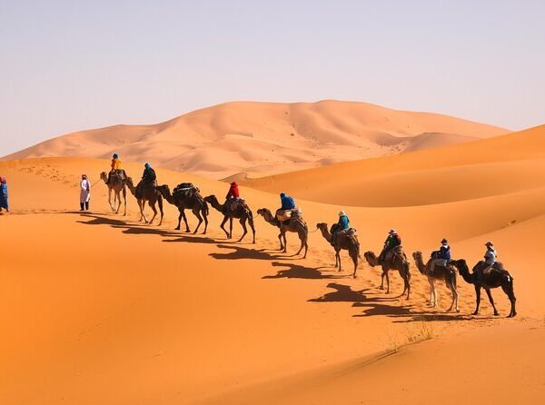 Discover Morocco: A Complete Guide to Unforgettable Morocco Tours and Food Experiences